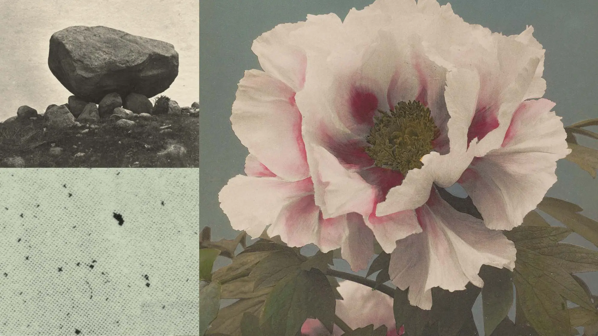 A collage of a balancing rock, textured paper, and a pale pink flower